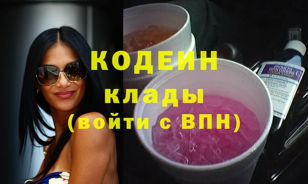 стаф Верея