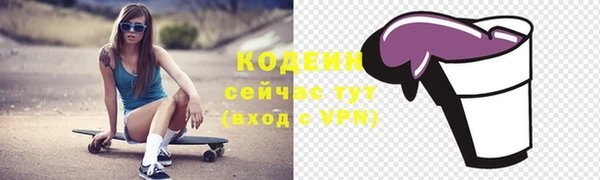 стаф Верея
