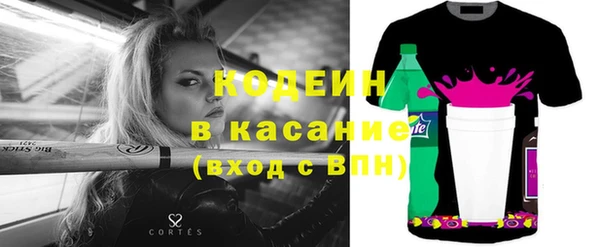 стаф Верея