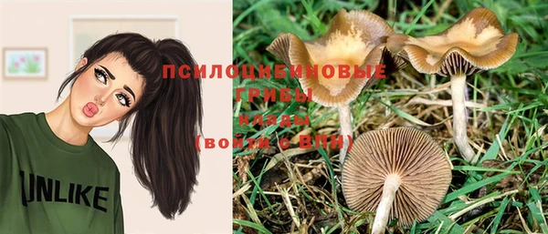 трава Верхнеуральск