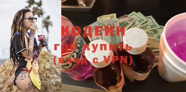 стаф Верея